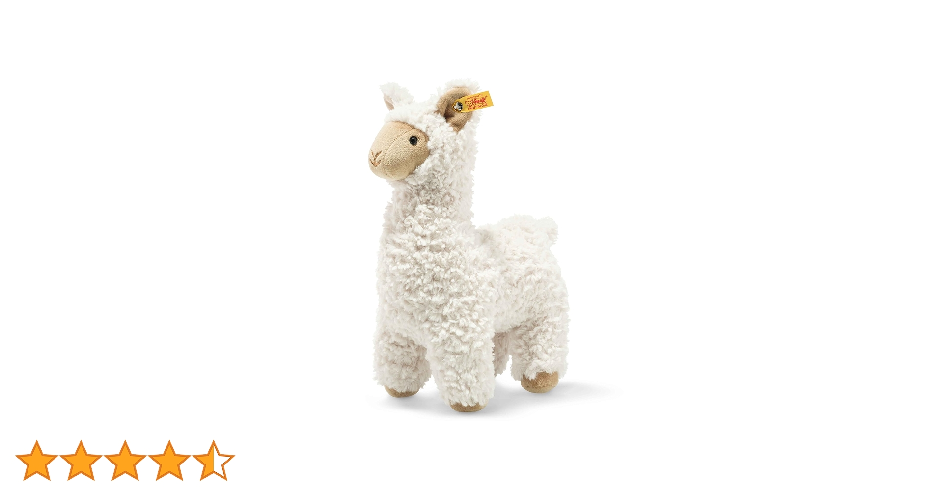 613rsfOfyyL.jpg_BO30,255,255,